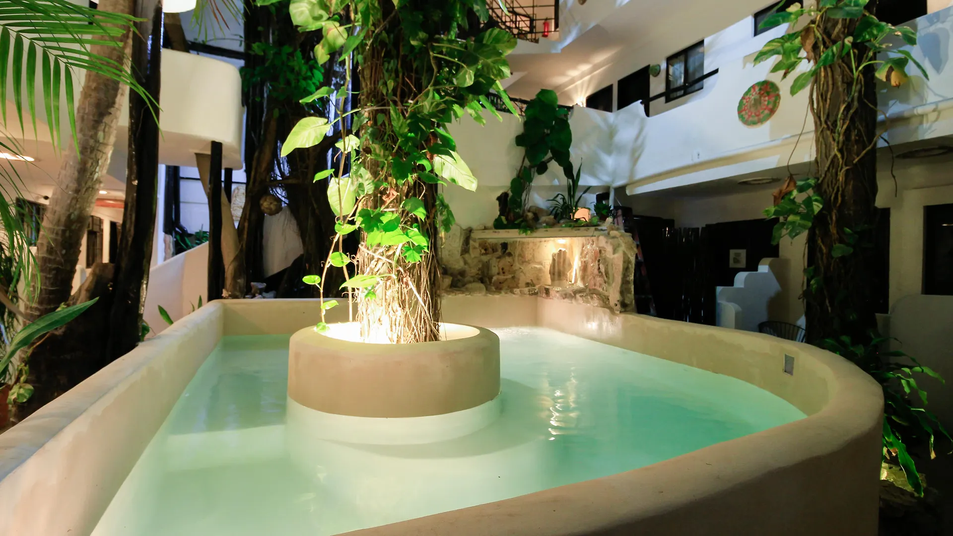 Moonshine Hotel Playa del Carmen Mexico