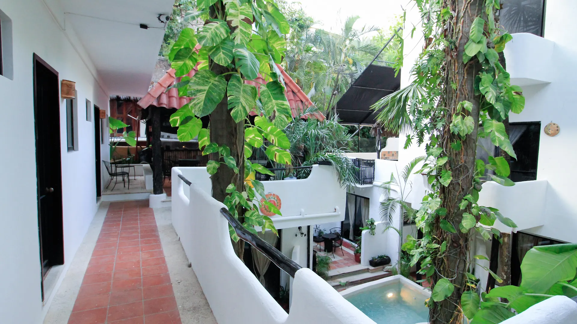 Moonshine Hotel Playa del Carmen